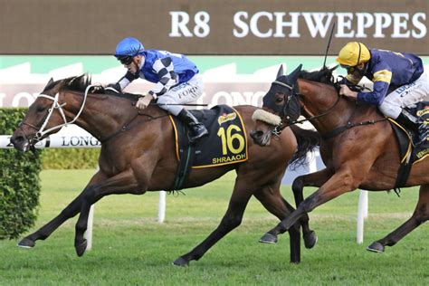 Sydney Cup Odds, Tips, Field, Betting and Results .